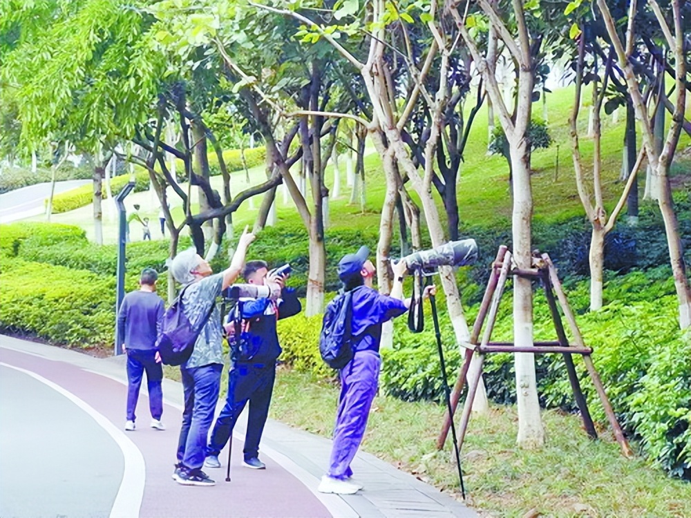 厦门比较大的公园,厦门最新的公园