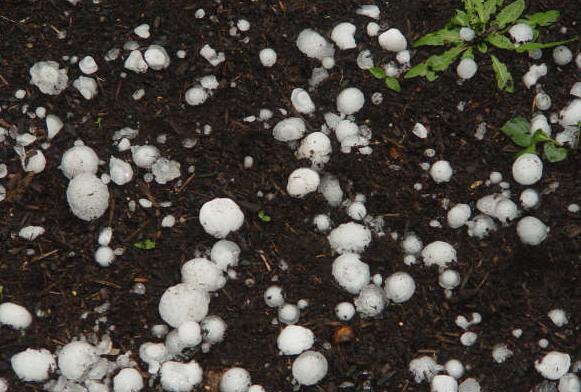 今年世界极端天气有多严重,极端天气是在几几年出现的