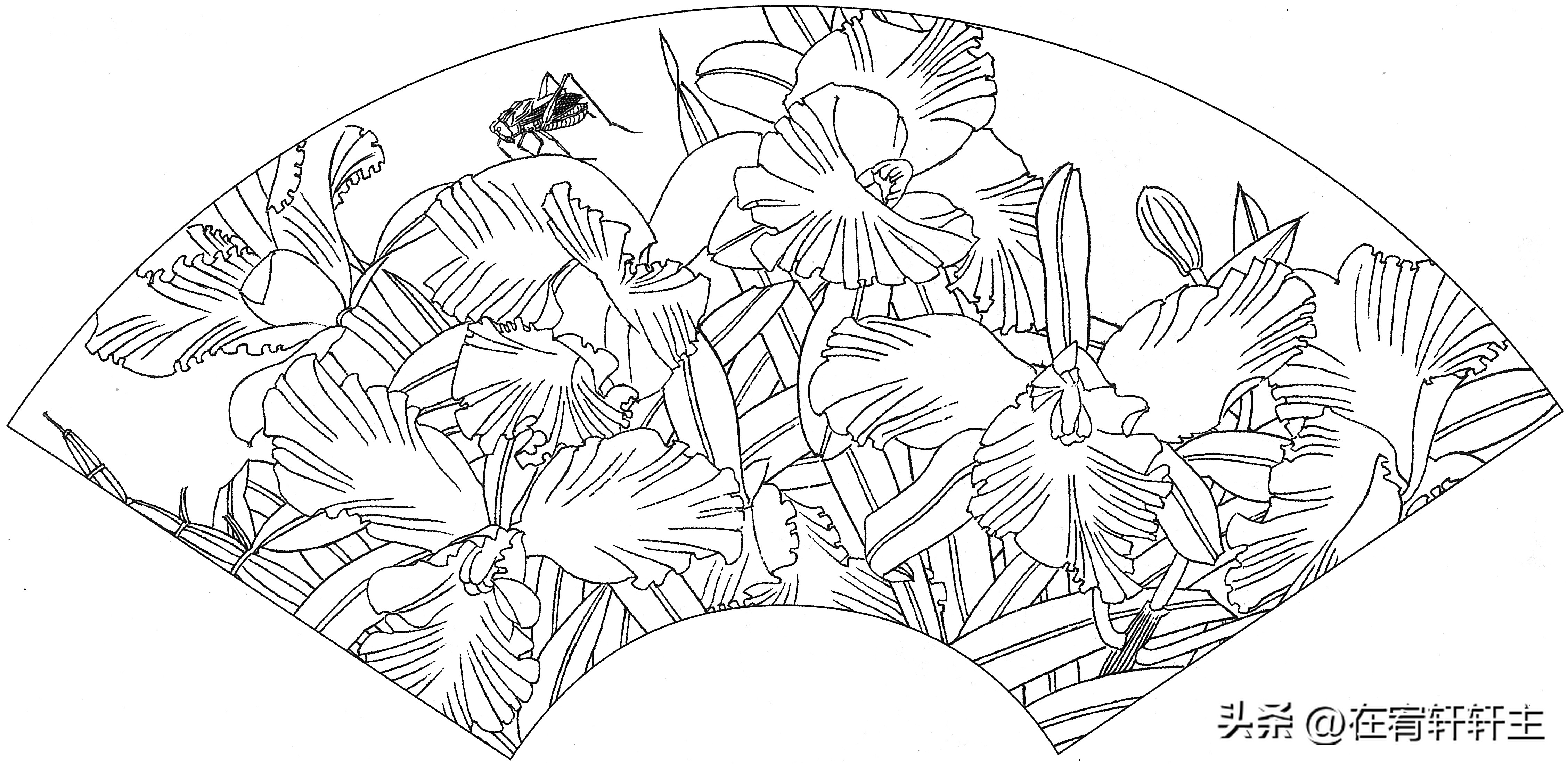 工笔白描祥云图案扇面,工笔扇面葡萄白描图片