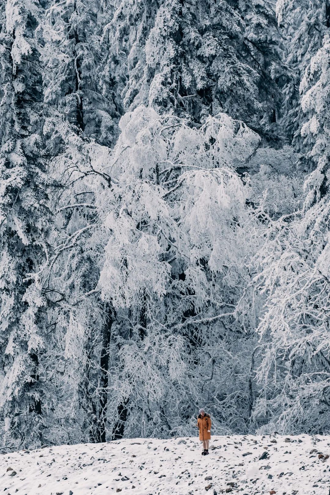 318最美川藏线之海螺沟冰川公园,稻城亚丁和泸沽湖旅游攻略