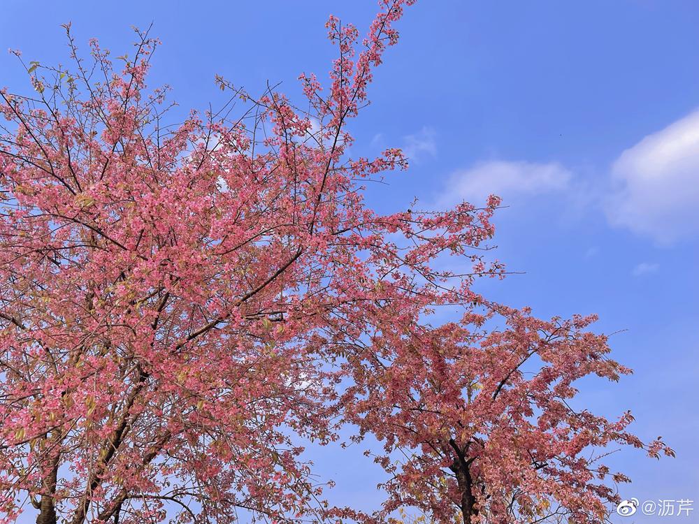 成都地标建筑及网红打卡景观,成都新打卡网红地