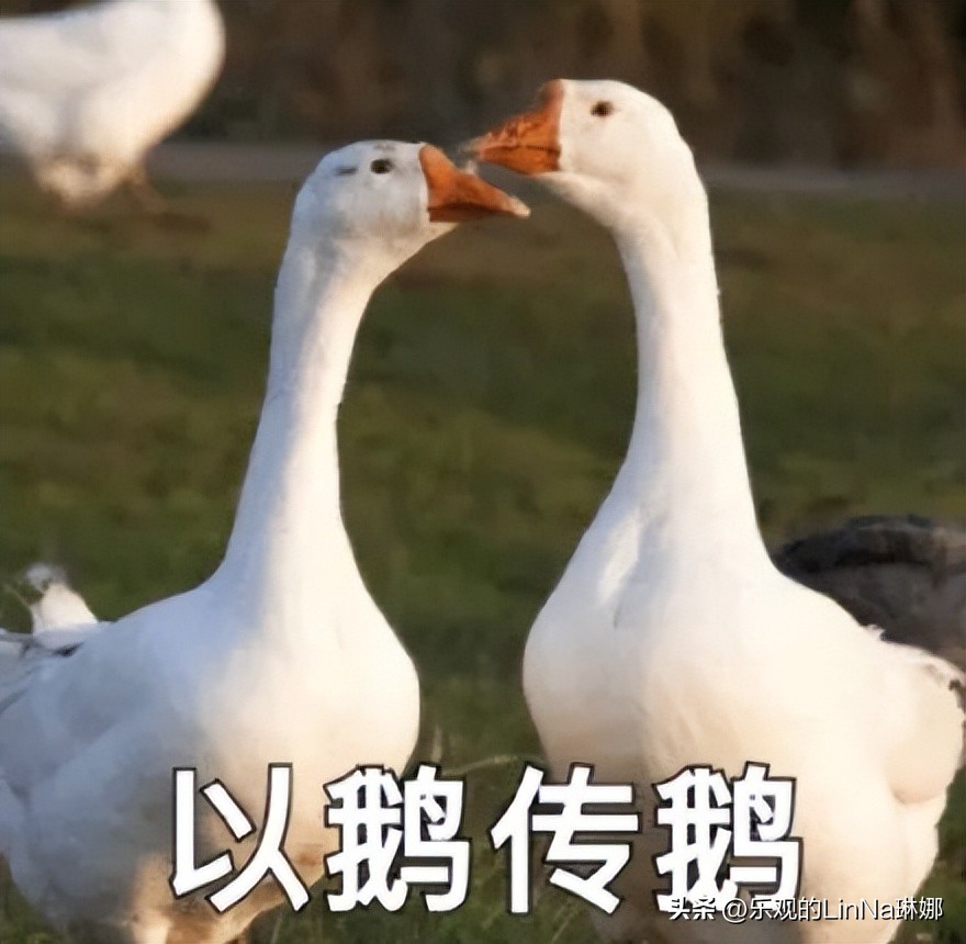 茶百道招牌logo图片,茶百道之前的logo