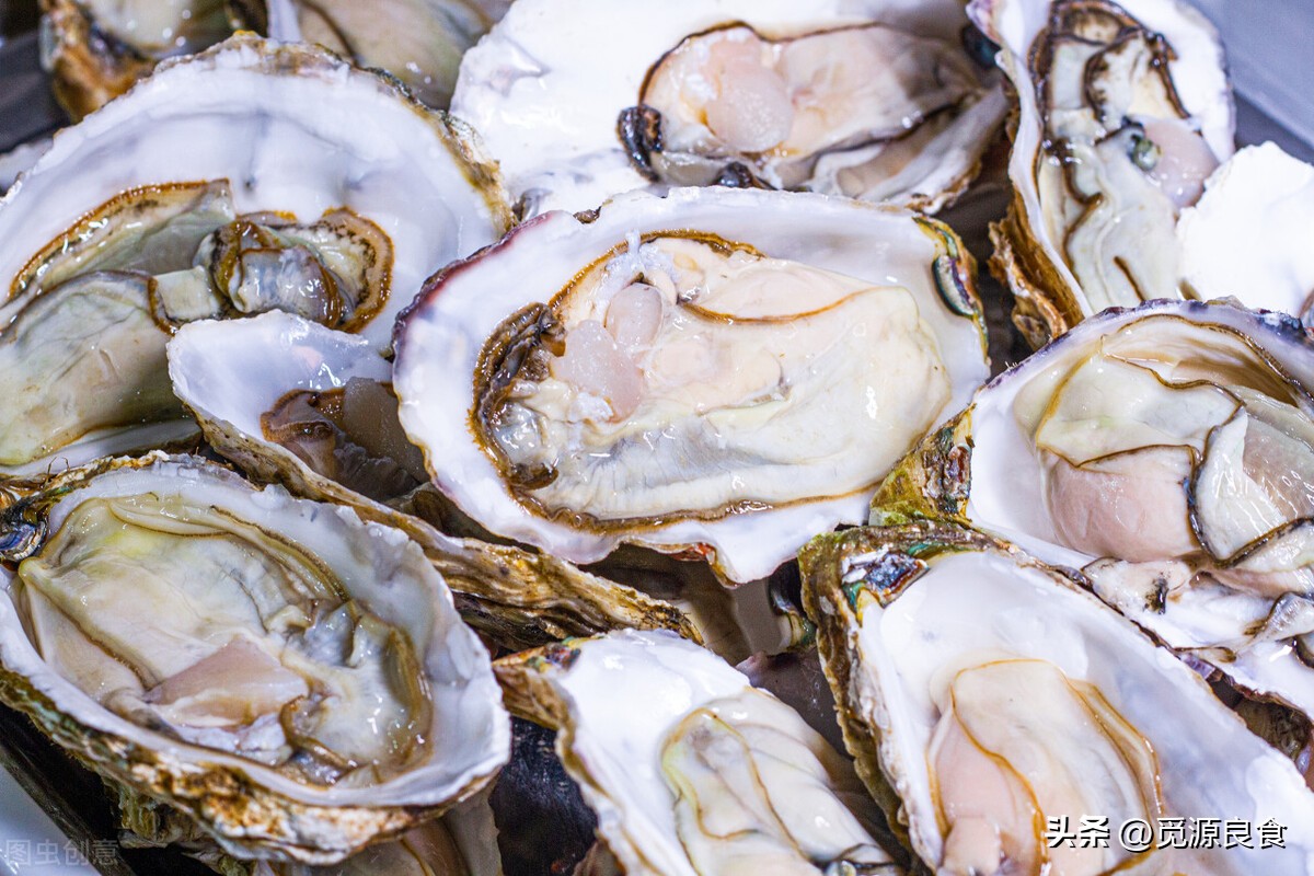 生蚝的做法一般蒸生蚝要几分钟,蒸生蚝煮生蚝