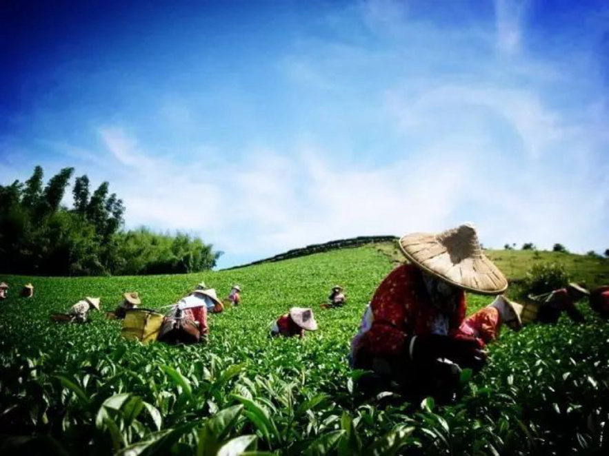 鏃ユ湰涓轰粈涔堝湪灞变笢绉熷湴,鏃ユ湰涓轰粈涔堝湪涓浗绉熷湴