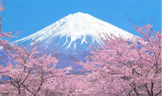 2022年日本商务签证办理需要多久,日本商务签证一般多少钱