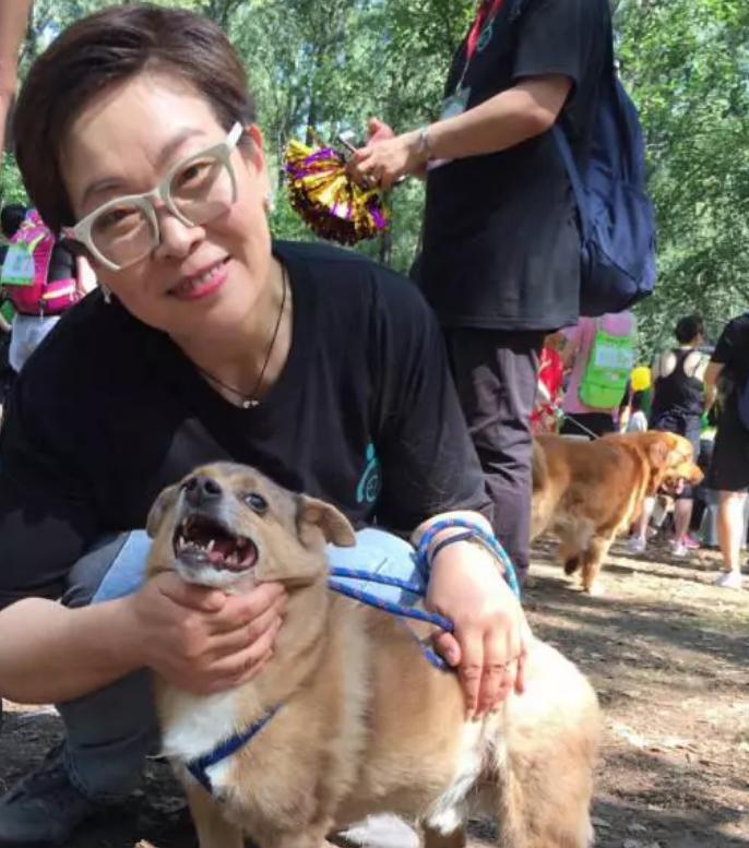 央视至今未婚的八位女主持人,至今未婚11位央视女主持