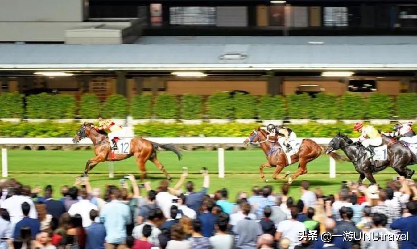 你了解香港赛马吗?这篇文章告诉你怎么去赛马会玩!