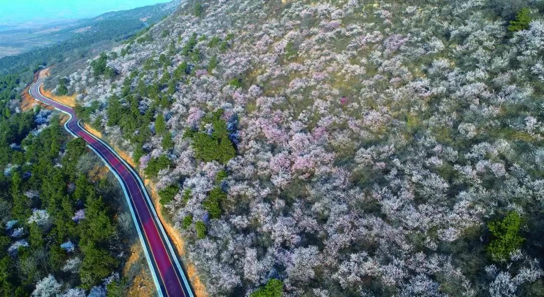 点赞太行一号旅游公路,红色记忆郭亮