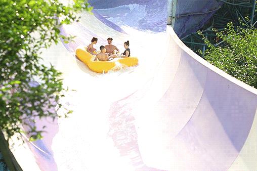 五一温江有什么活动,五一来温江