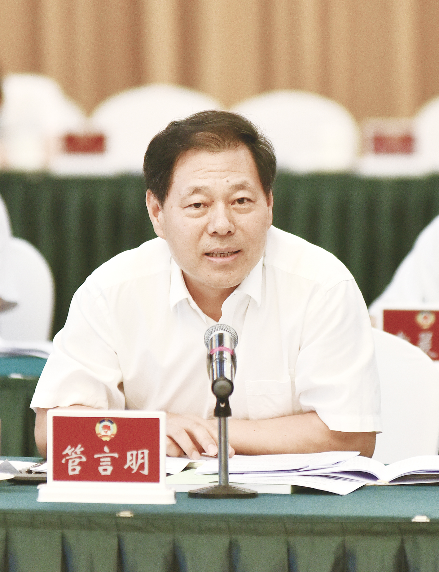 农墨重彩绘新景,农墨重彩绘丰景