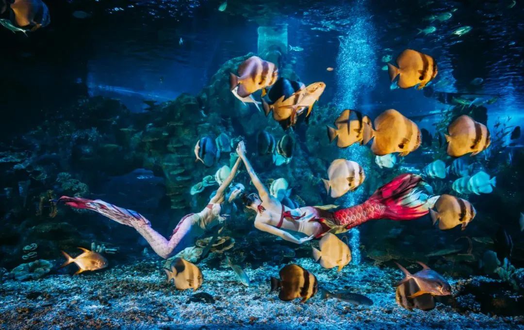 10元游温州景区,10元游温州