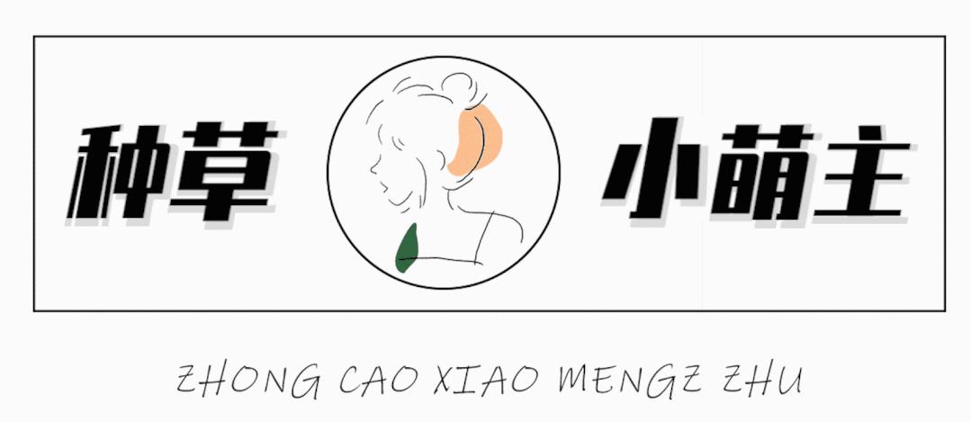 “渣女香”火了？这10款平价小*香众**水，贼上头！根本把持不住