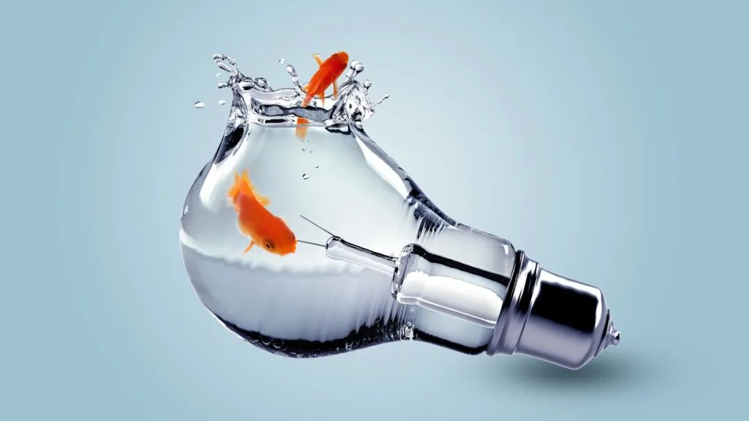 上线视频版知乎，不追风的网易如何在兴趣社区赛道“取一瓢饮”？