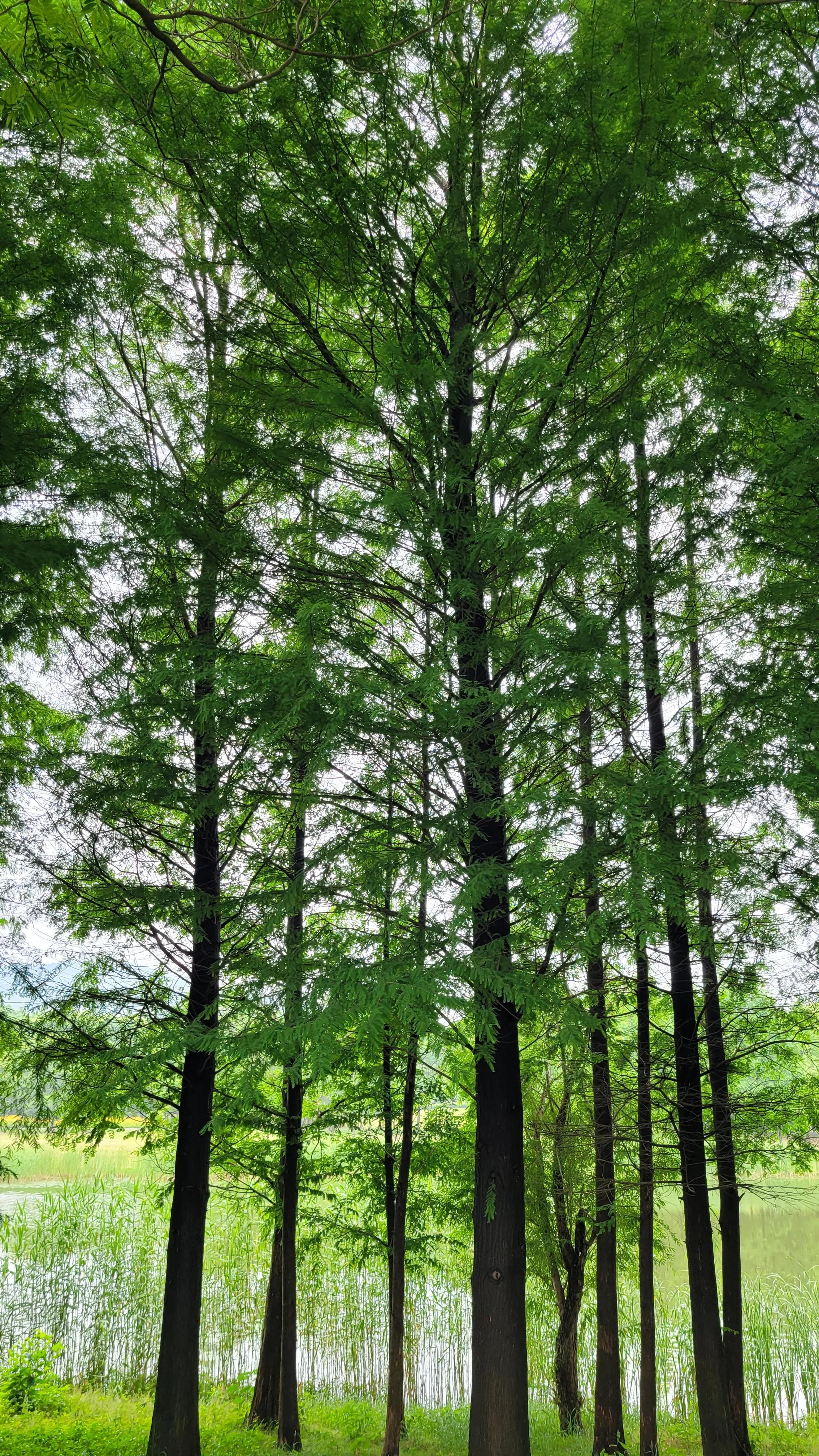 无锡太湖十八湾起点,无锡太湖十八湾在哪