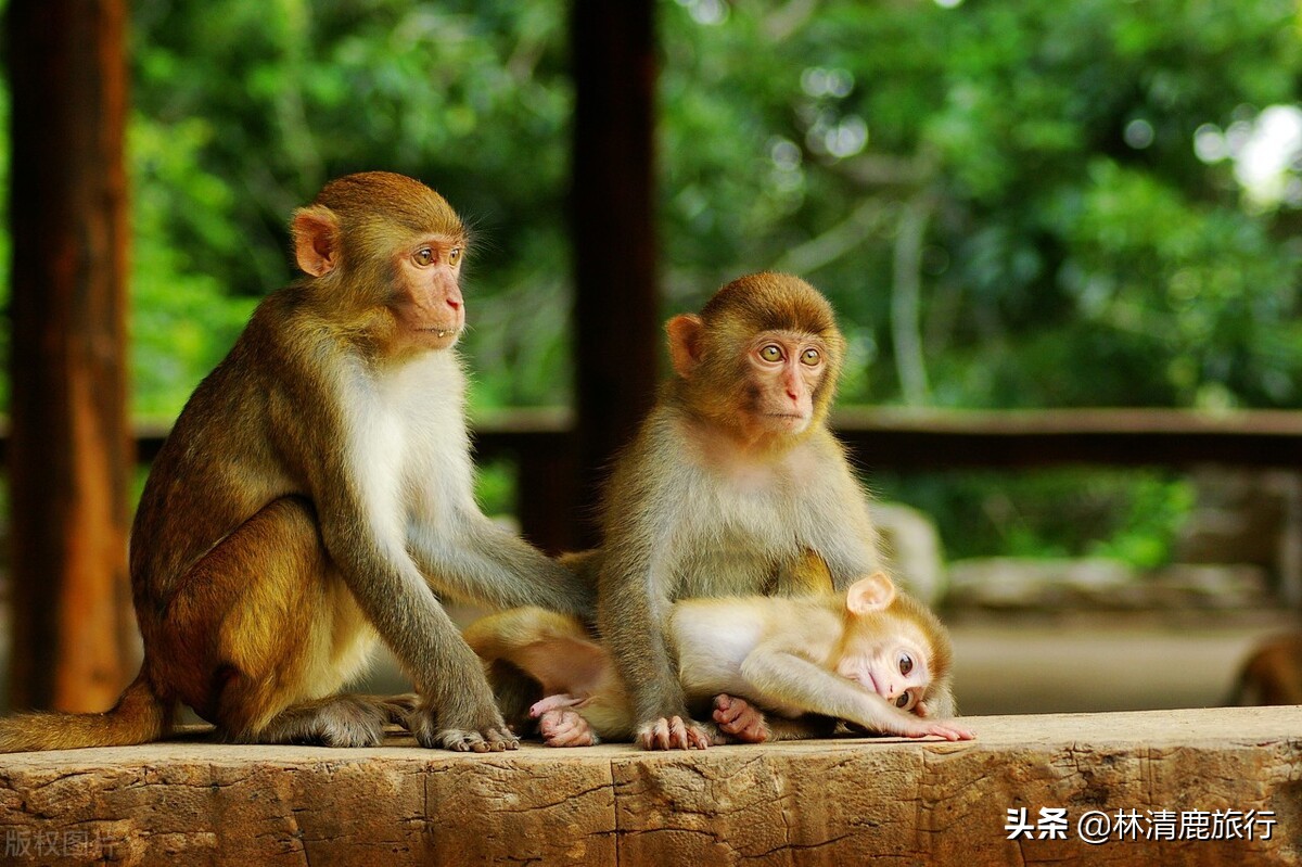 陵水攻略冬天,陵水能冬避寒夏避暑吗