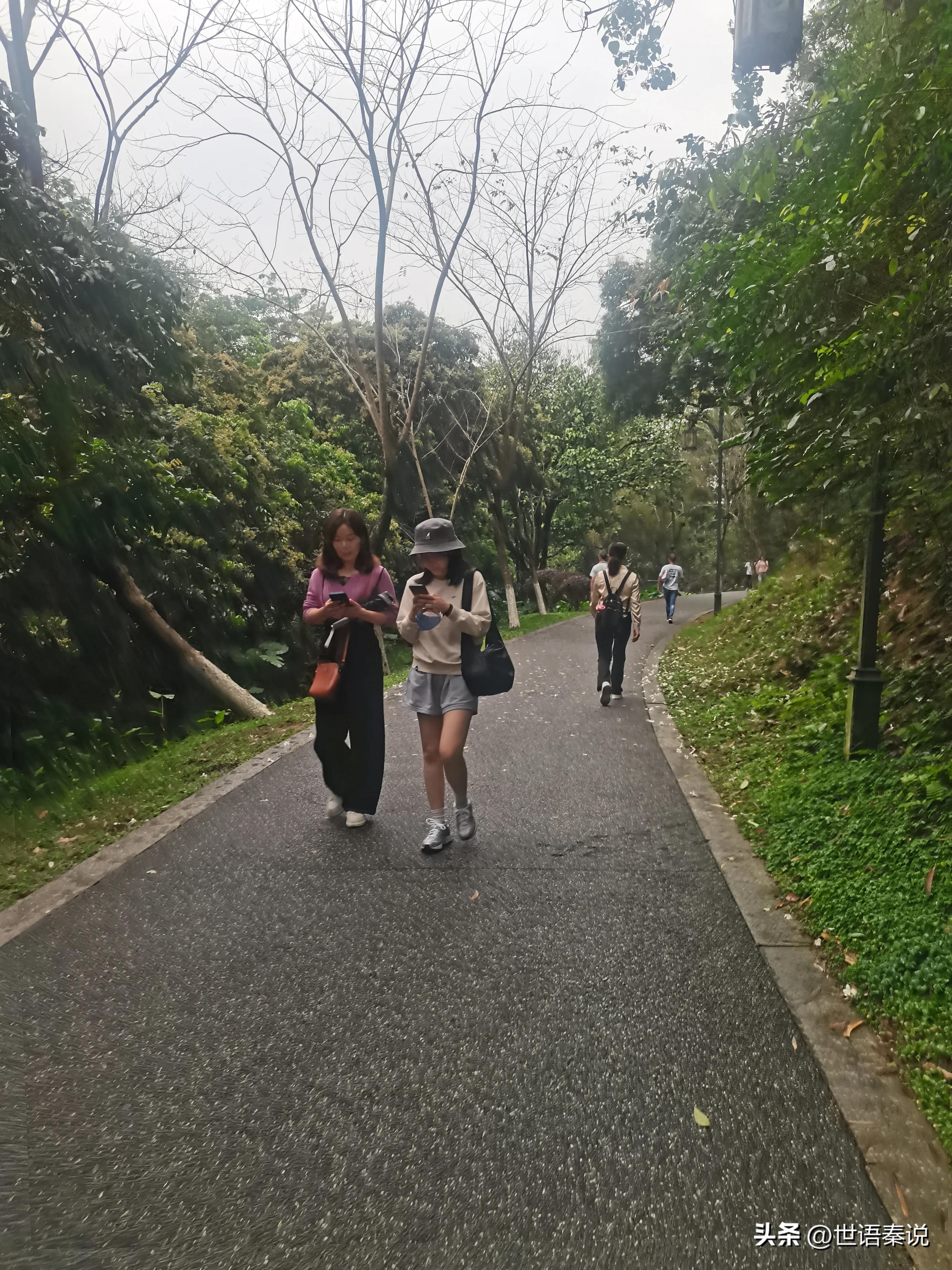 雨中漫步在公园里,独自漫步在郊野公园