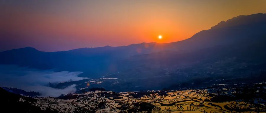 官宣，近期成都有这些免费的好消息