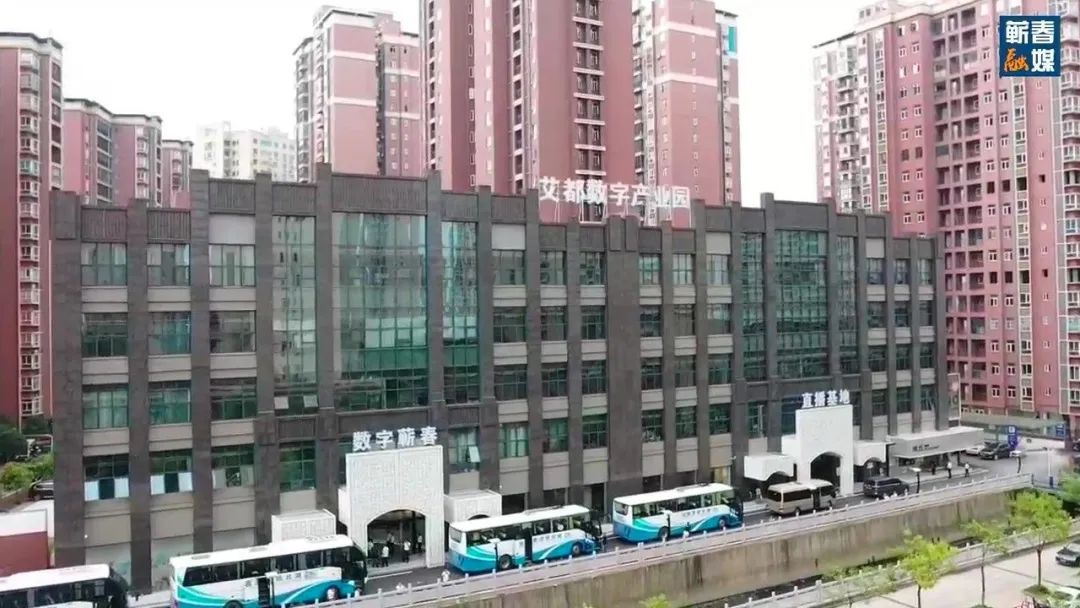 直击现场合集,直击现场拍摄