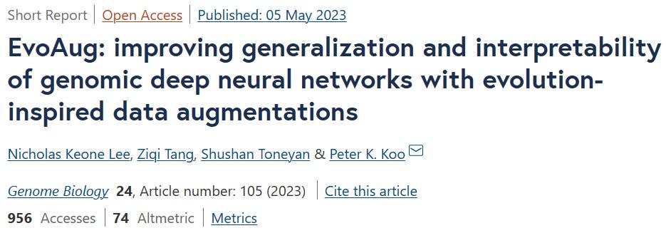 EvoAug：通过进化启发的数据增强，提高基因组DNN泛化和可解释性