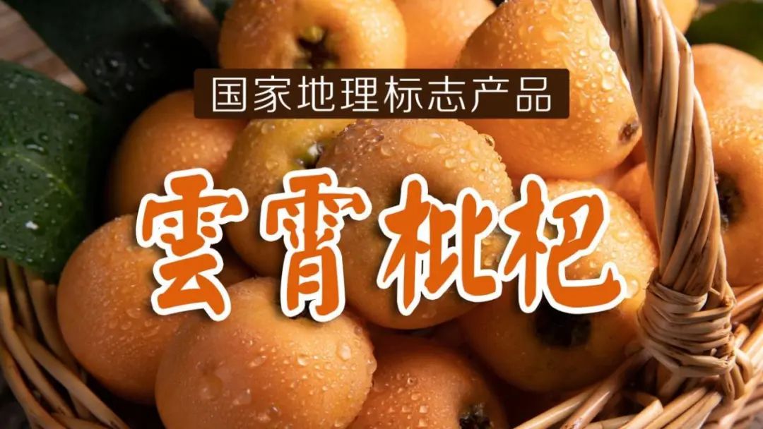 中国假烟之乡云霄现状,中国云霄县假烟