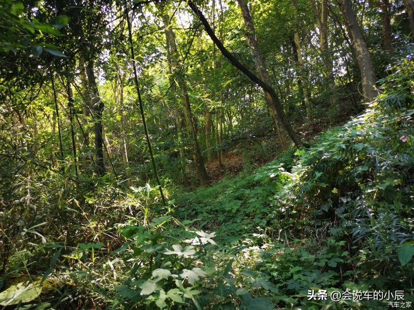 西安比亚迪唐车主自驾游,比亚迪唐游玩攻略