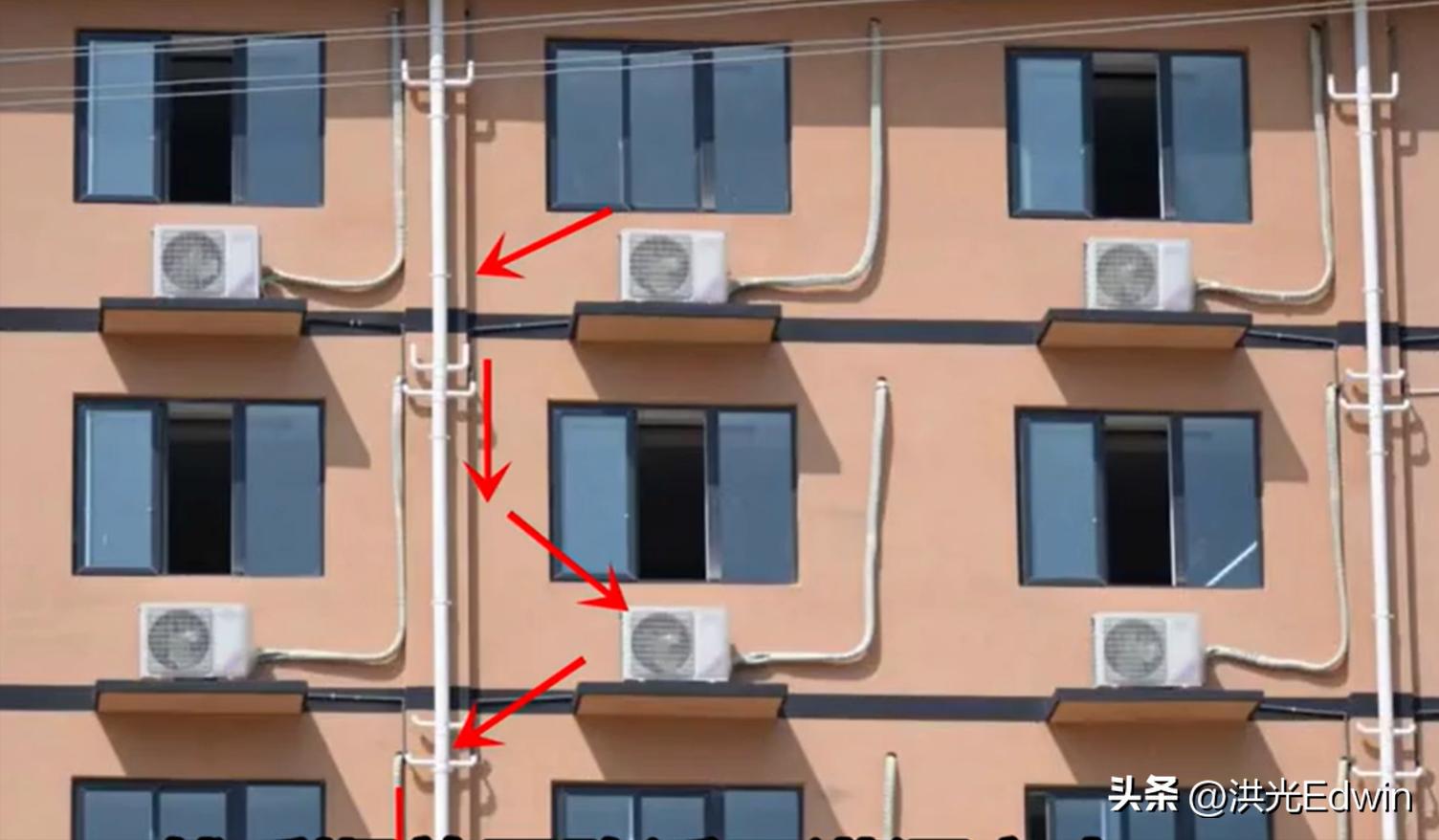 流浪狸花猫被暴打致死,狸花猫爬十楼打伤宠物猫