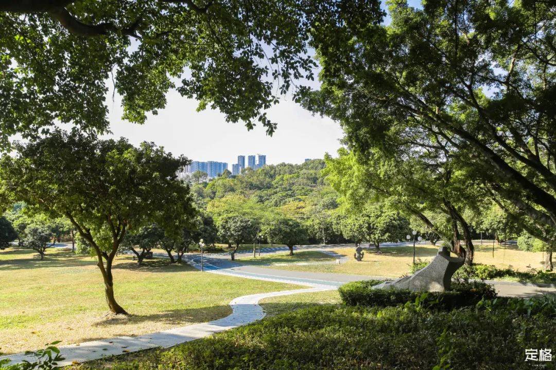 深圳地铁五号线十号线游玩地点,深圳地铁12号线最新最全线路图