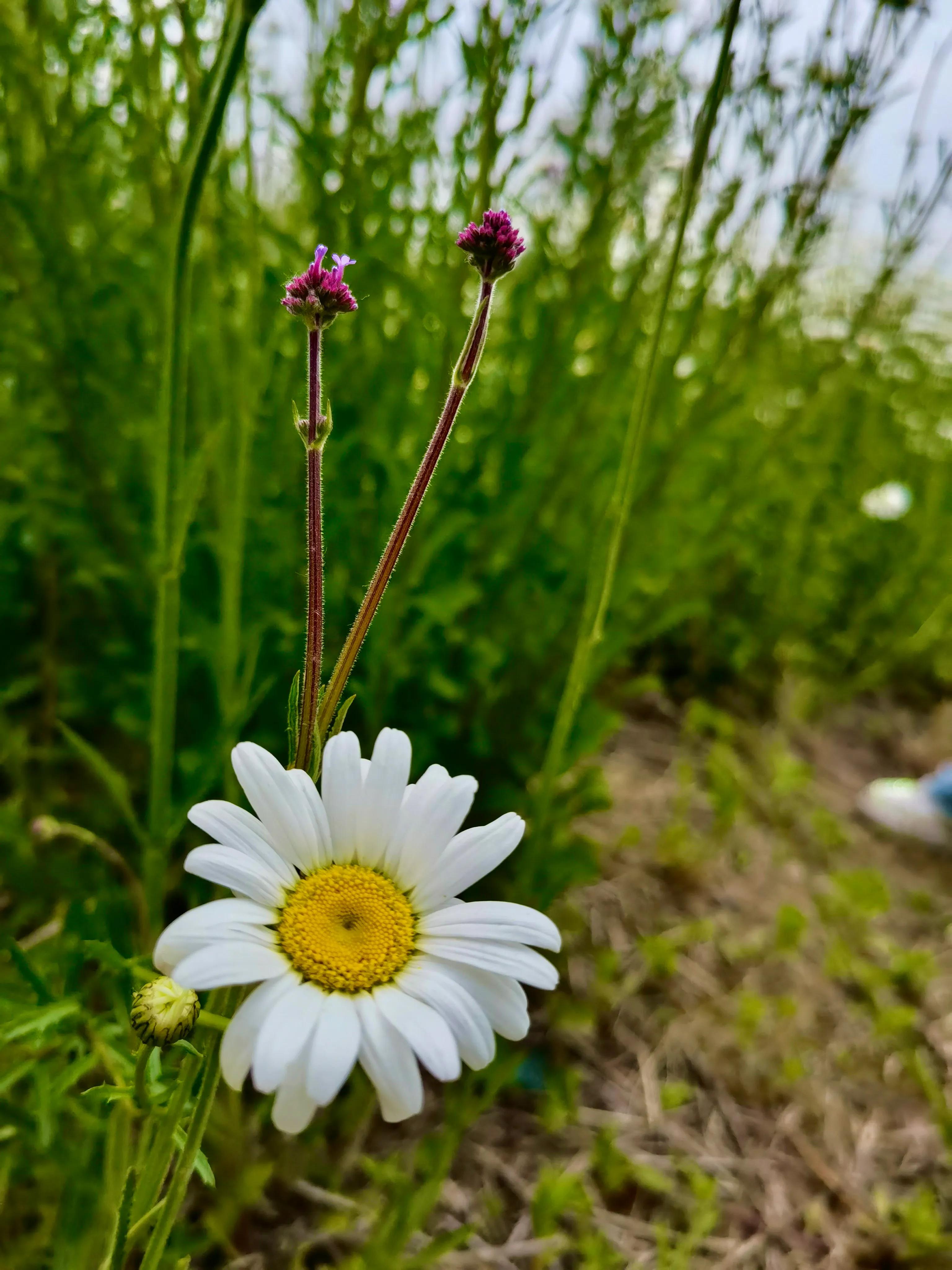 鲤鱼沟自驾游攻略,蓝田关中环线绕山路