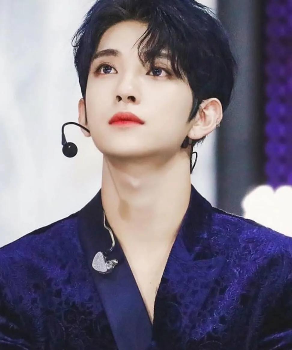 seventeen回归询问帖,seventeen大发语录