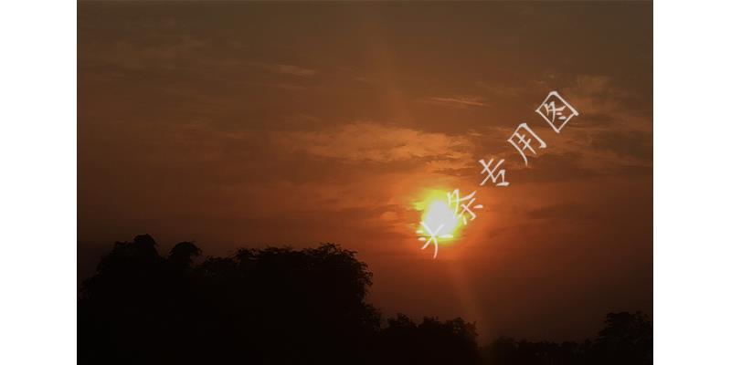 女子为凑钱给老公治病,女子为了给丈夫治病筹钱现身