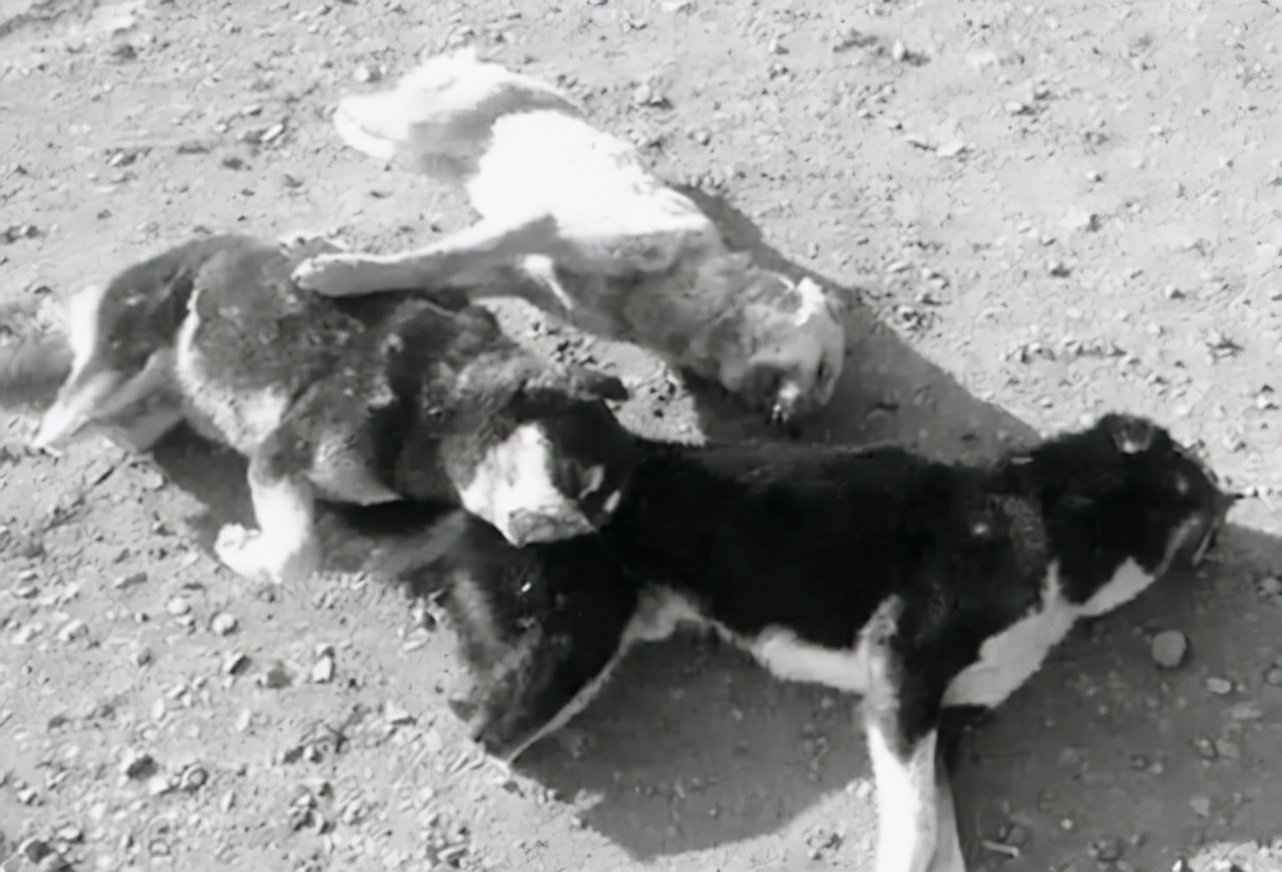 史上最经典的战法,史上最强一套经典战法