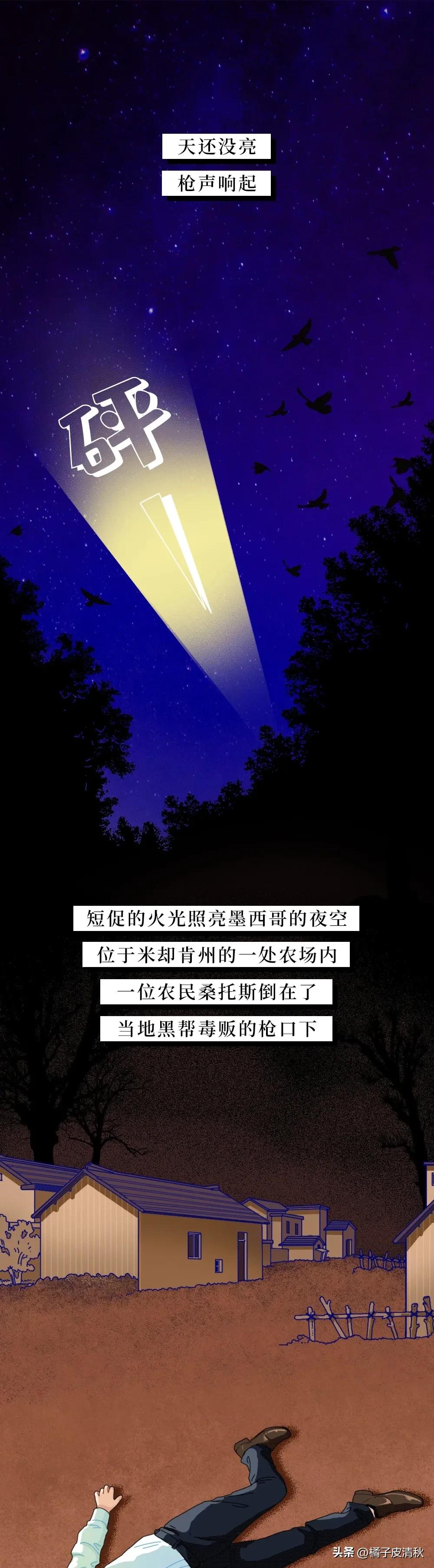 墨西哥进口牛油果,墨西哥牛油果云南