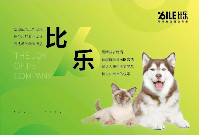 深耕行业十六年，比乐品牌升级：高端宠食智造专家是如何炼成的？