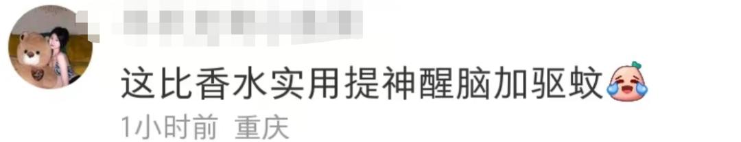 六神走出国外了吗,六神最高价