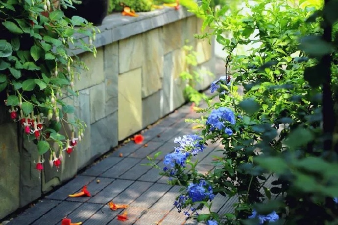 三观相合能量对等,人之间最舒服的关系是三观相同