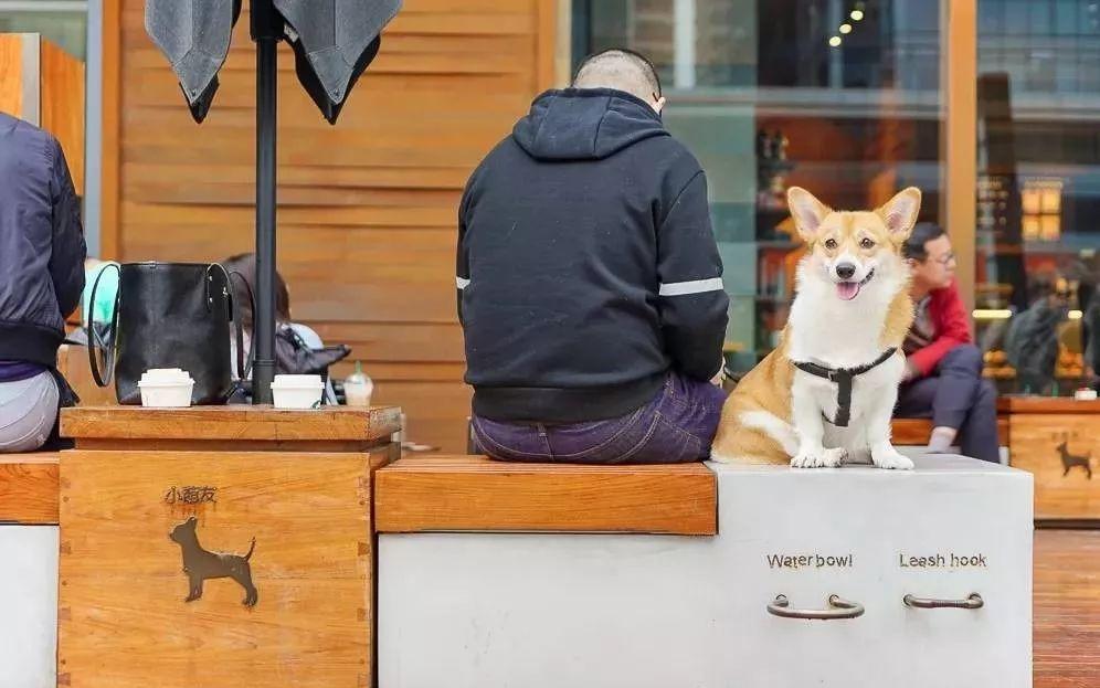 星巴克“租杯子”了！3天返还，随你造！这波环保操作可？