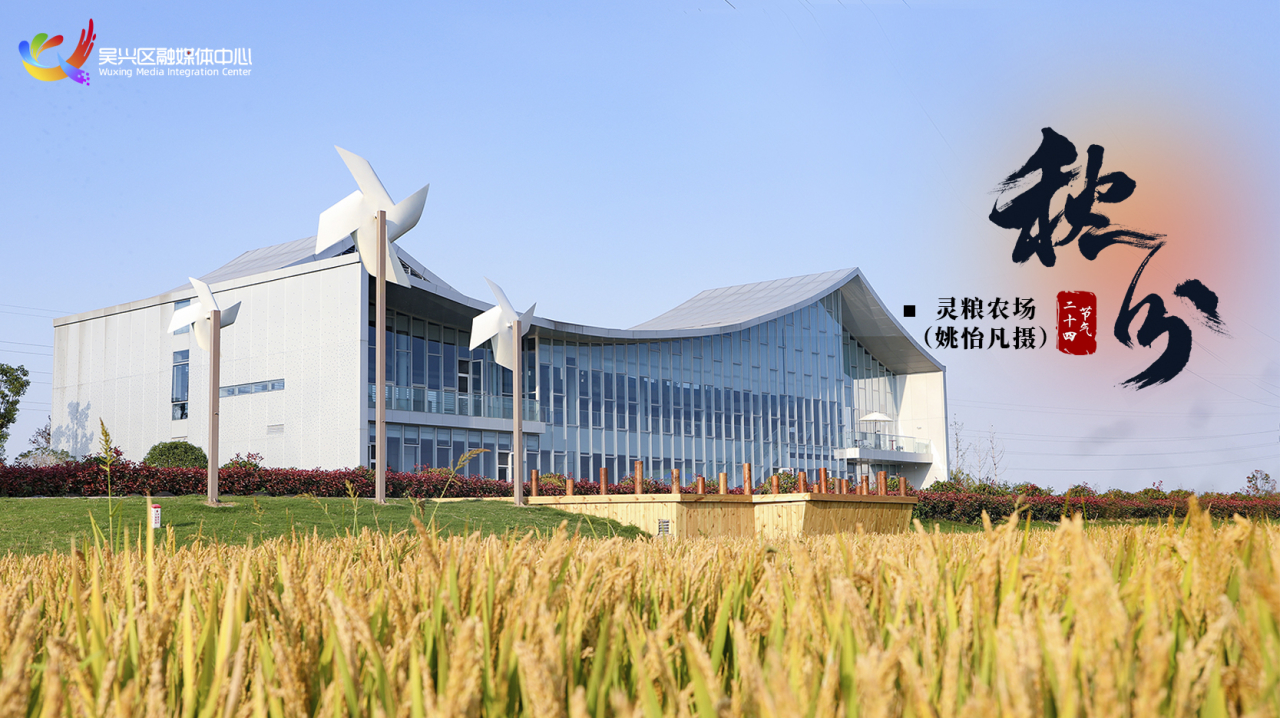 今日秋分|平分秋色，共享收获~