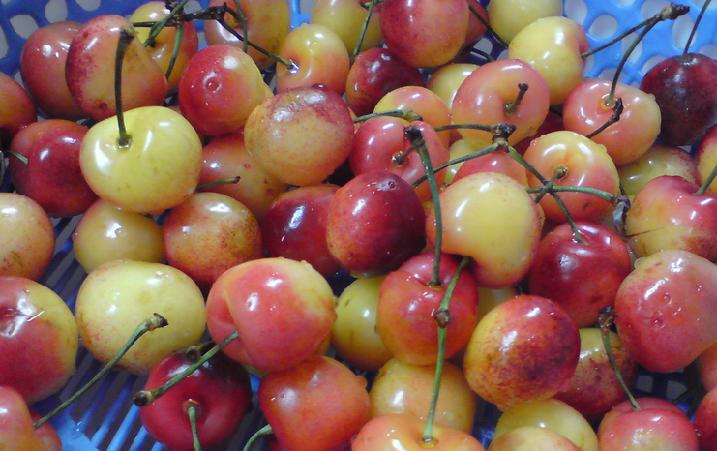 摄影的用光技巧是什么意思,摄影技巧中的角度分析是什么