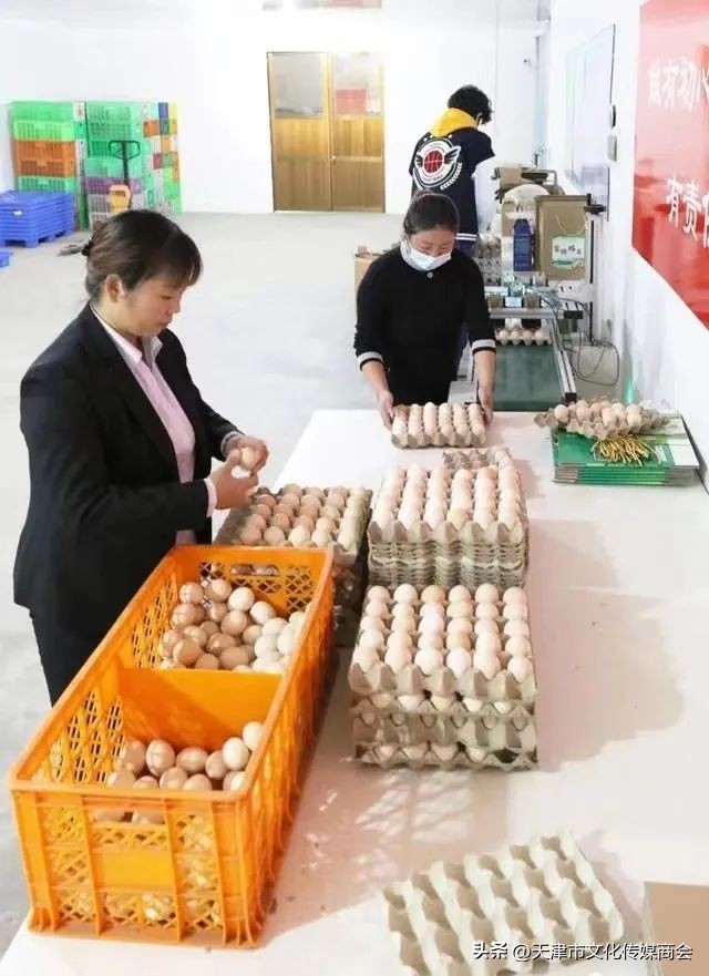 打造农特产品线上销售平台,蓟州农产品销售平台