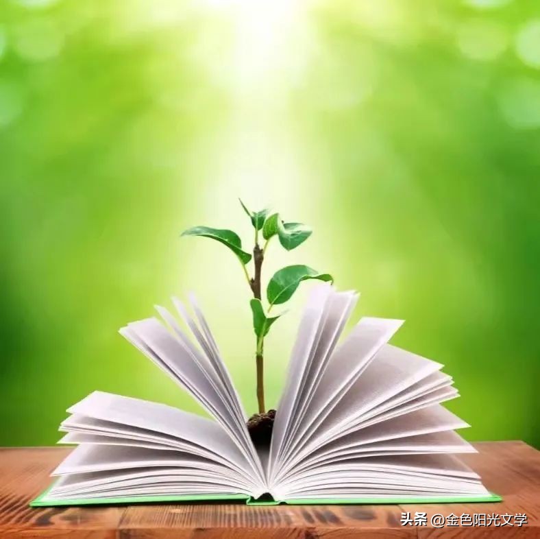 南阳周边游老君山,南阳恐龙遗迹园旅游攻略