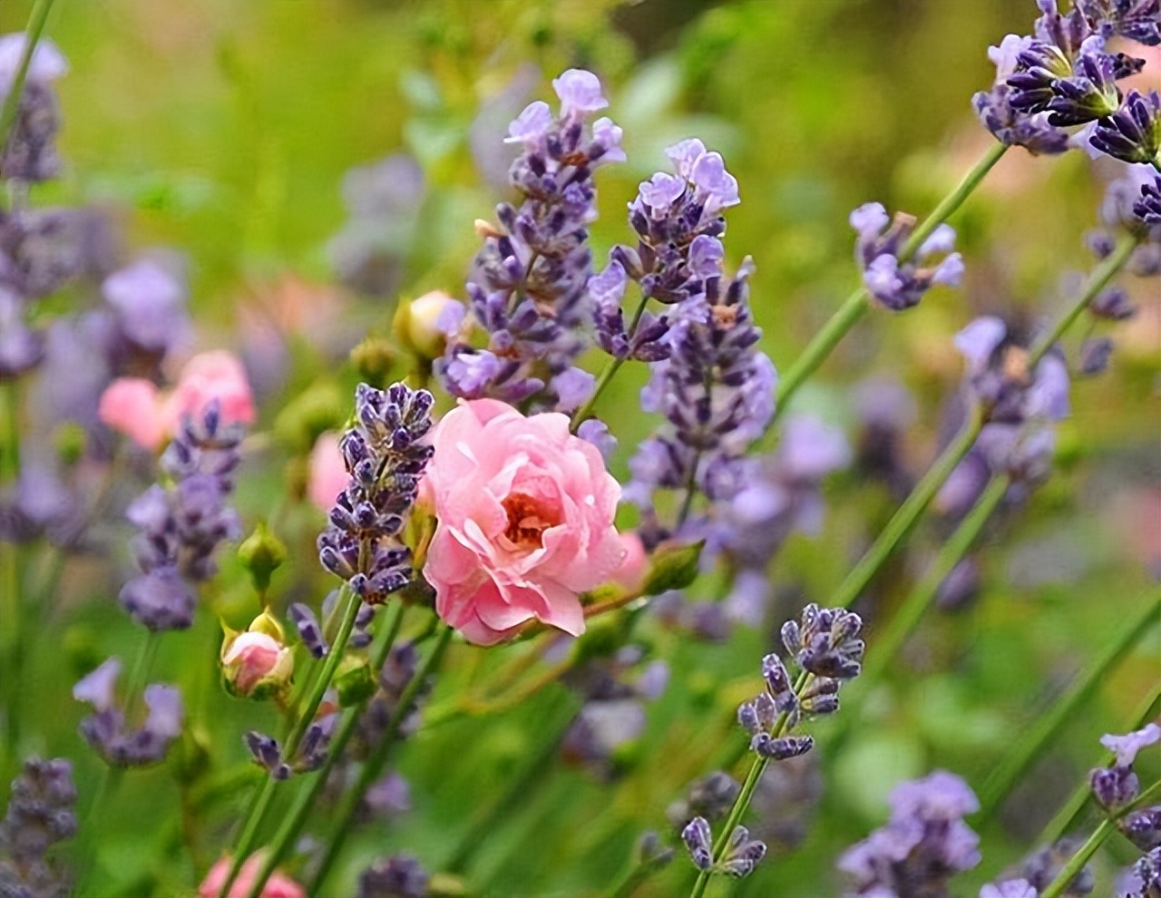 暧昧后说做朋友的都是烂人,和暧昧过的人不可以再联系