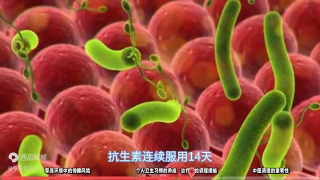 幽门螺旋杆菌四联疗法14天后复发,幽门螺杆菌好了又复发了怎么根治