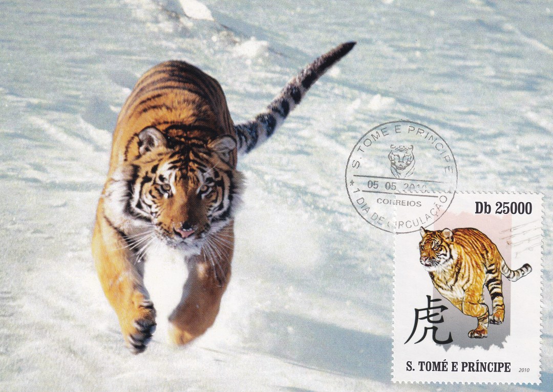 壬寅年虎首银章,壬寅年生肖虎每月运势详解