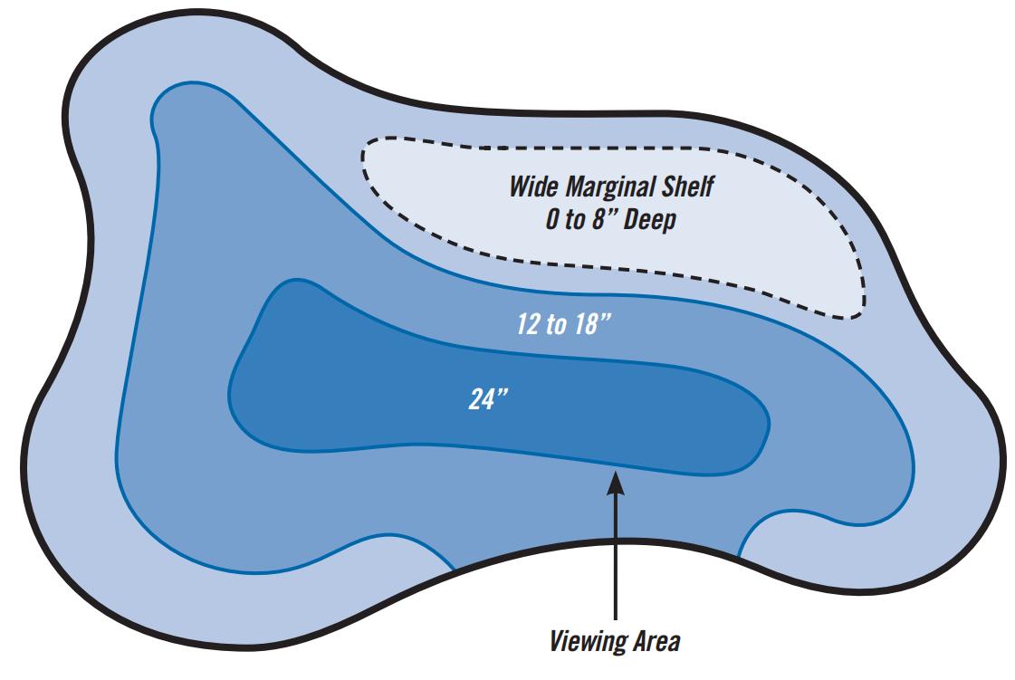 生态缸为啥不长藻不出绿水,生态缸为什么养不活虾
