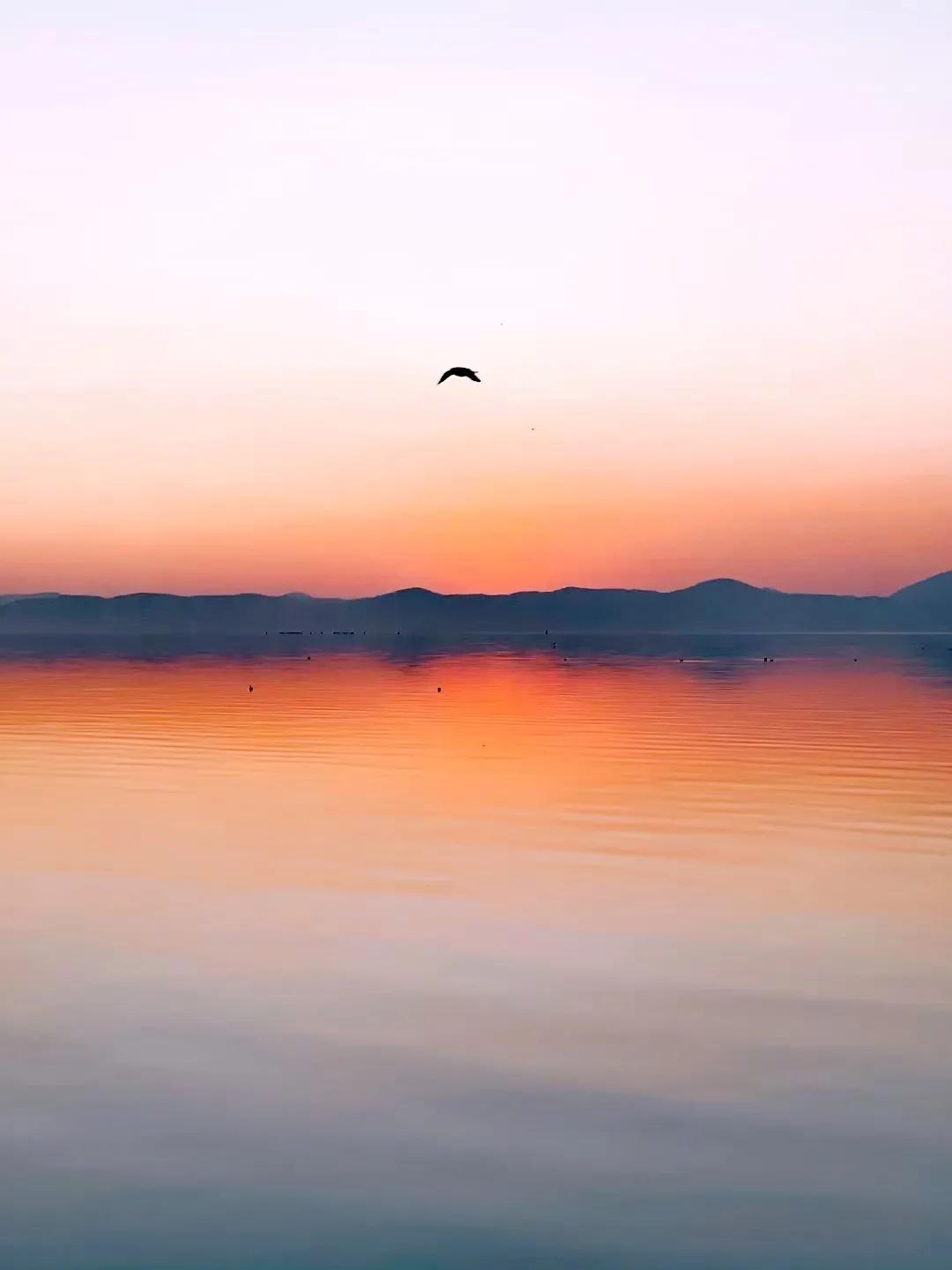 最美的地方云南昆明,云南最美的十个地方你想去哪里