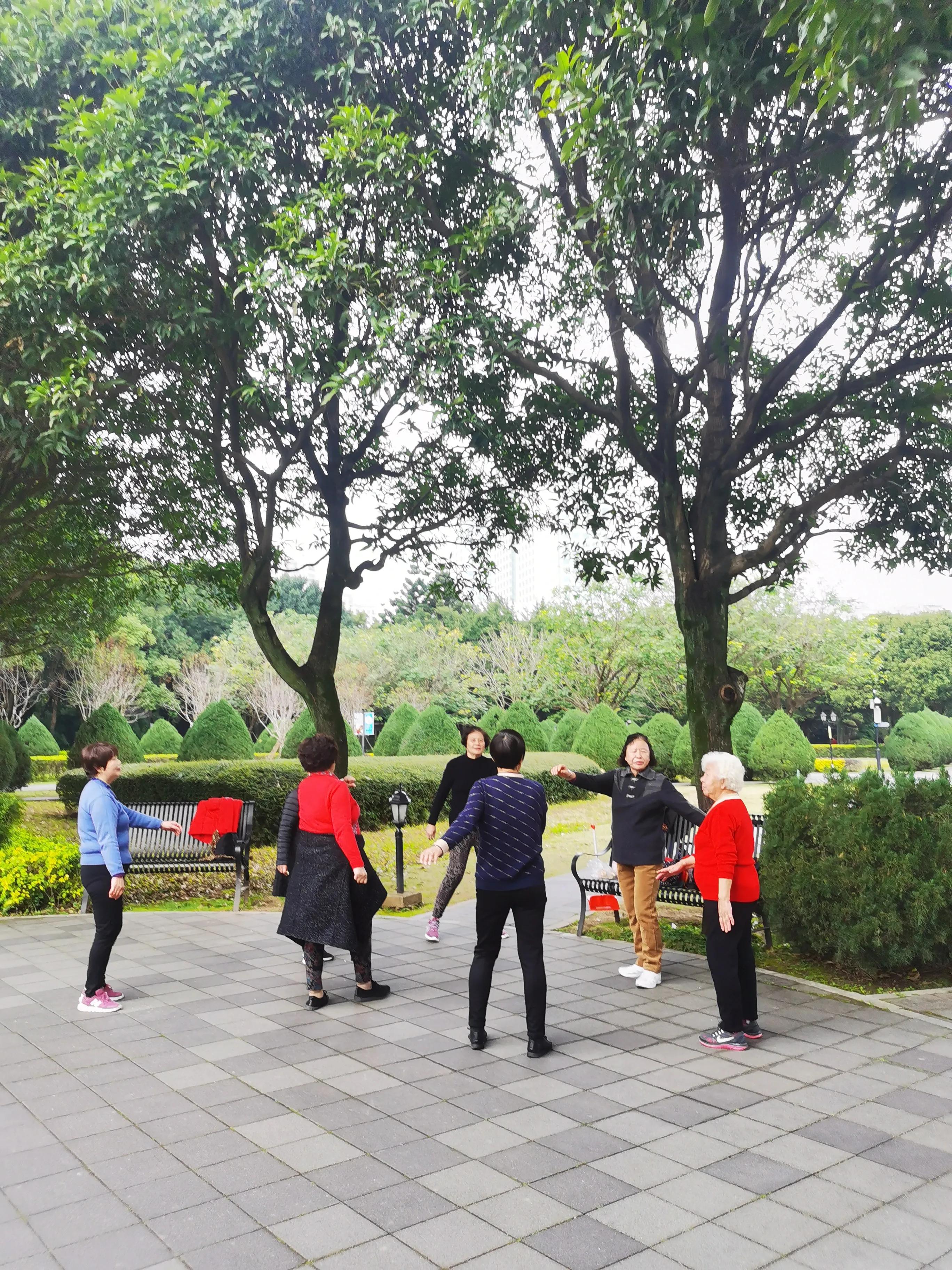 漫步在温泉河湿地公园,漫步福州静谧与繁华