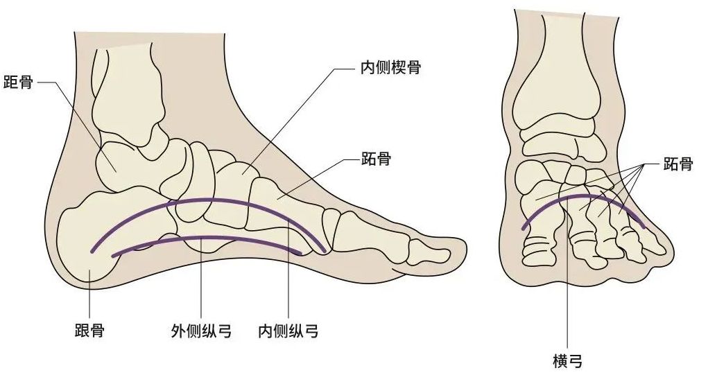 鞋子磨脚怎么办教你如何轻松解决,鞋子太紧磨脚