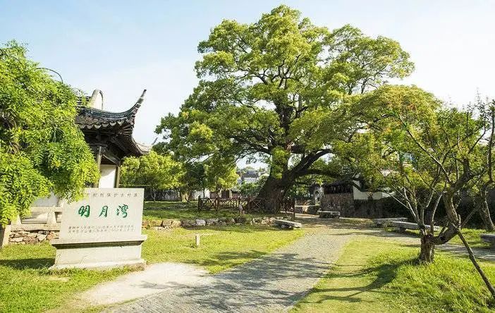 苏州旅游团七日游,苏州旅游团1日游