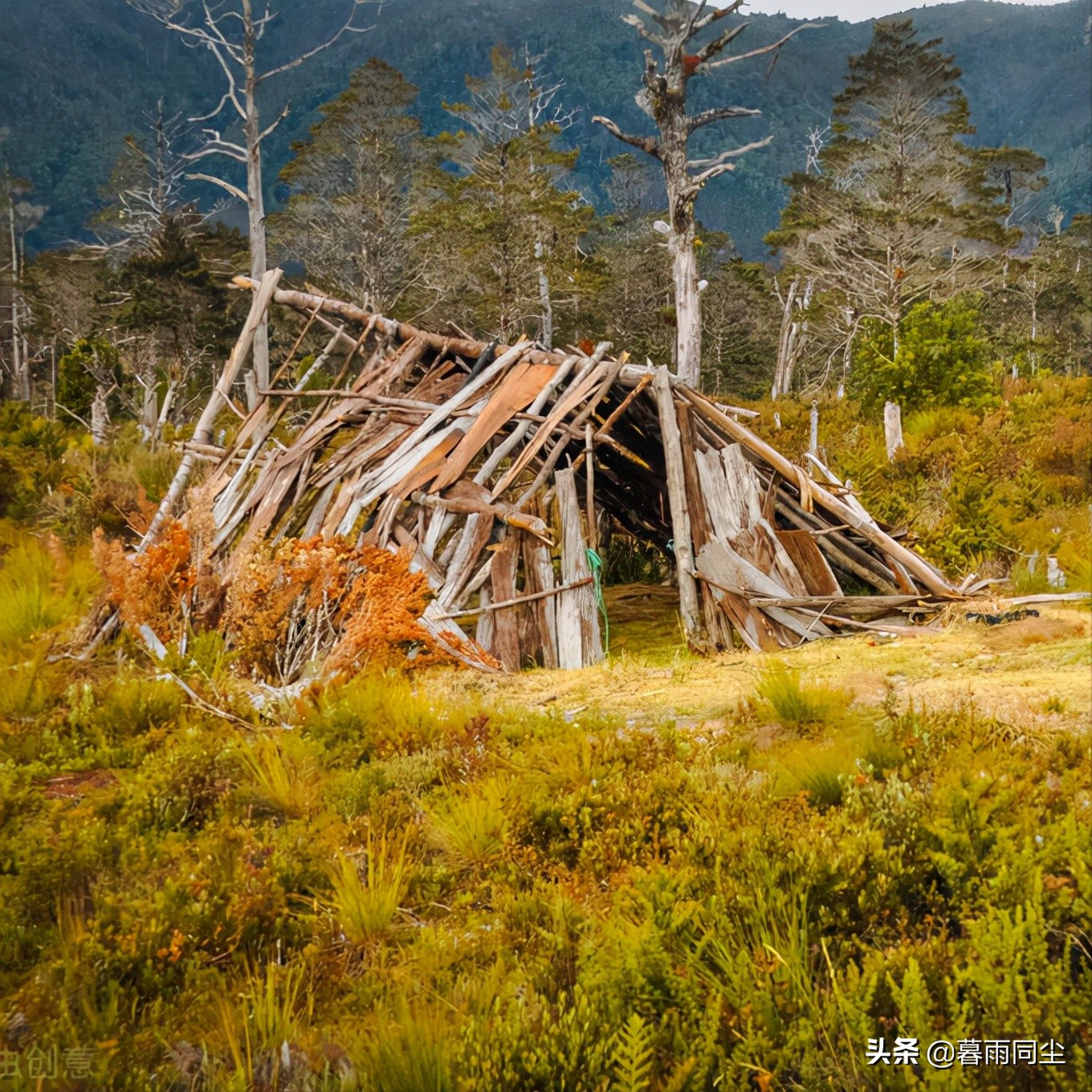 荒野生存十大绝望手段,荒野求生不是一件轻松的事情