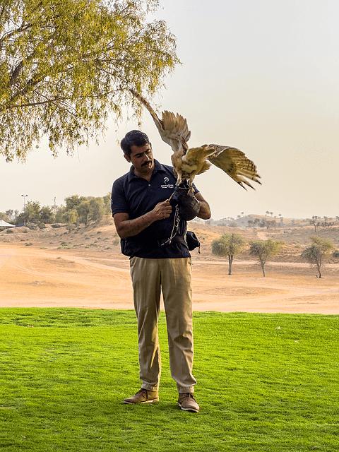 哈伊马角利兹卡尔顿,哈伊马角沙漠丽思卡尔顿酒店